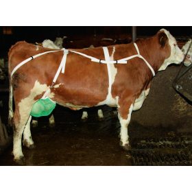 Tőgykötő, tőgyvédő nyakhevederrel - méret: XL