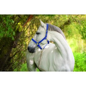   Covalliero Mustang kötőfék "1" királykék / fekete