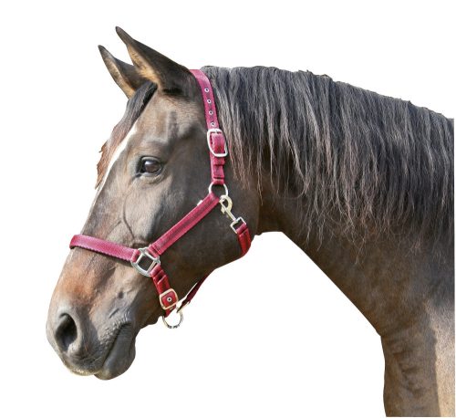 Covalliero Mustang kötőfék "2" vörös / fekete