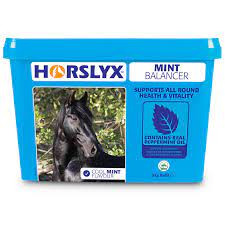 Horslyx Mint 5 kg